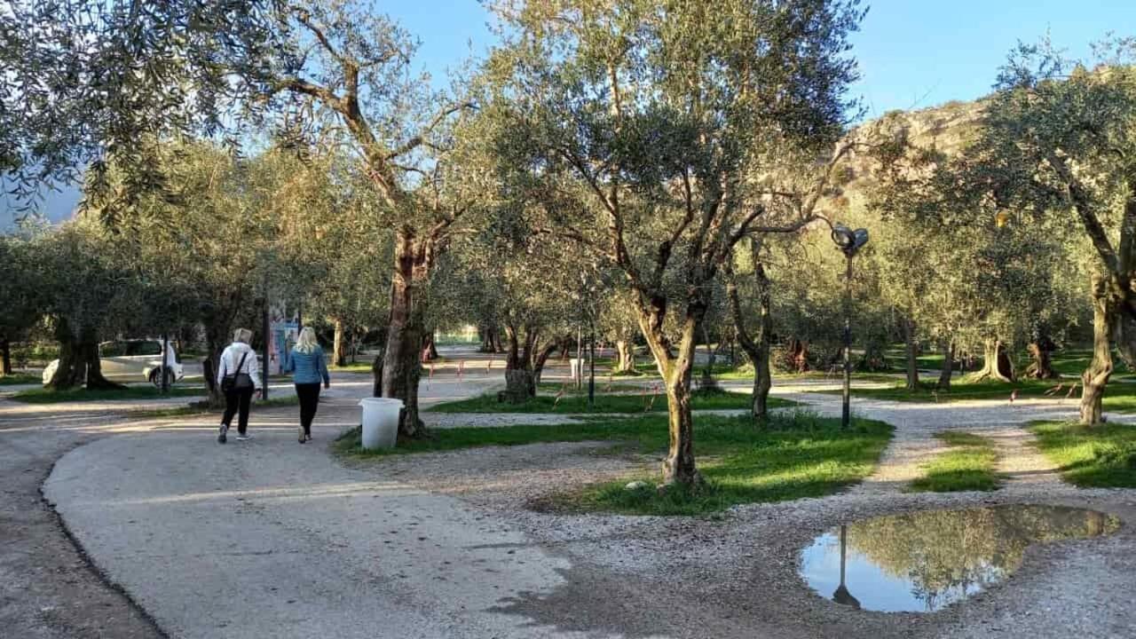 Casa Nataly Bed and Breakfast Torbole Sul Garda Exteriör bild